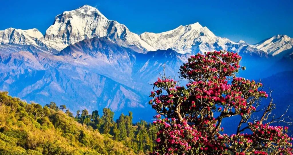 Nepal mountain landscape