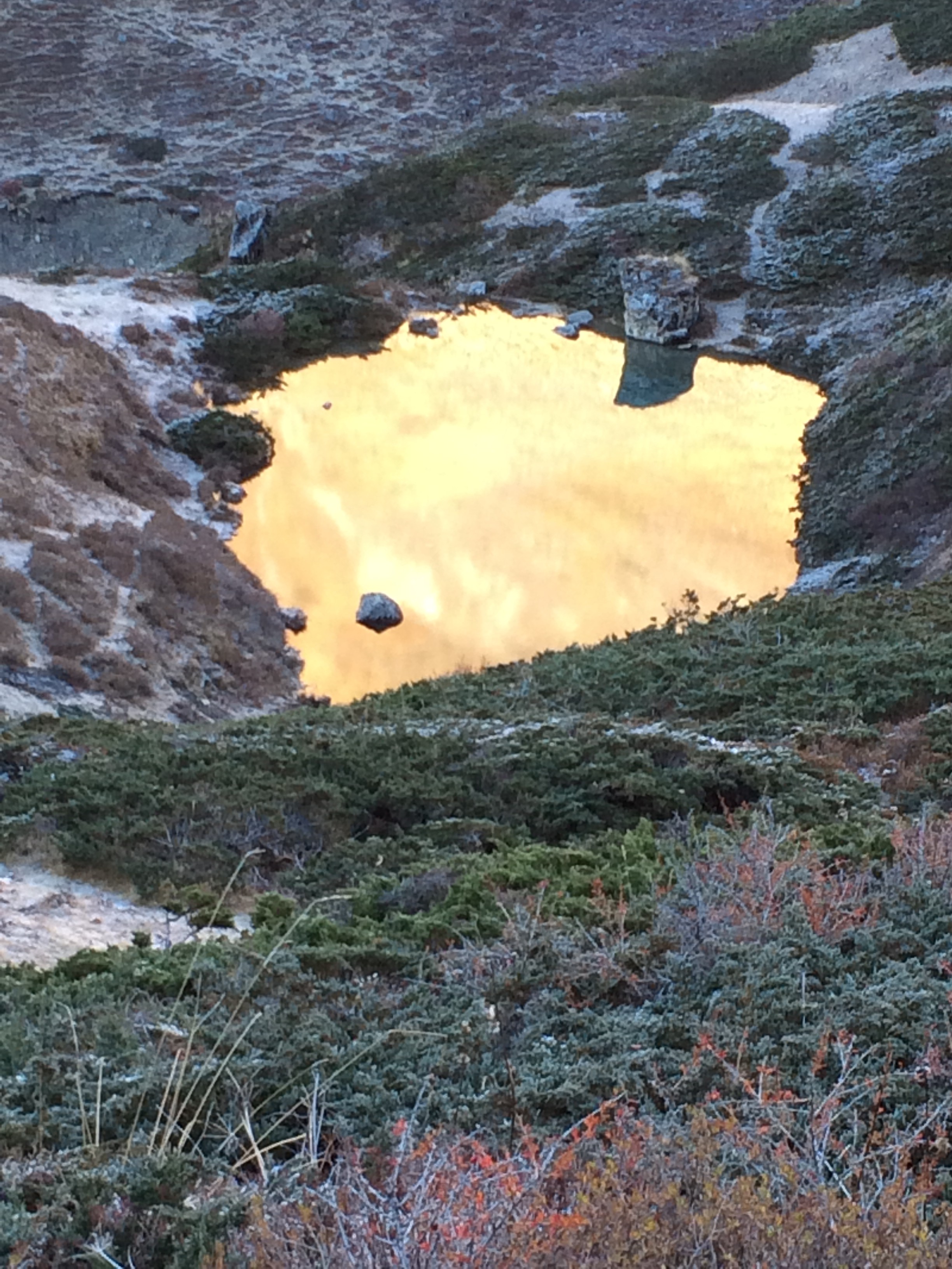 A high-altitude golden mineral pond on the Annapurna Circuit.